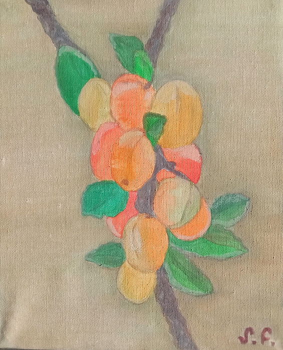 Marine B Rosemary - Apricot Branch