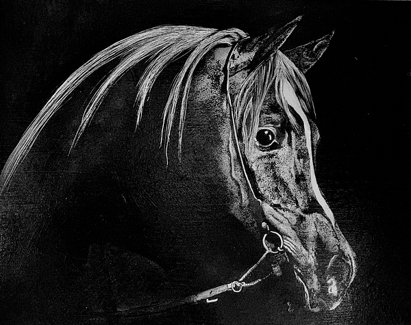 Portrait Art