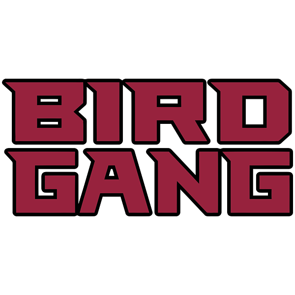 Arizona Cardinals Bird Gang locally made Art