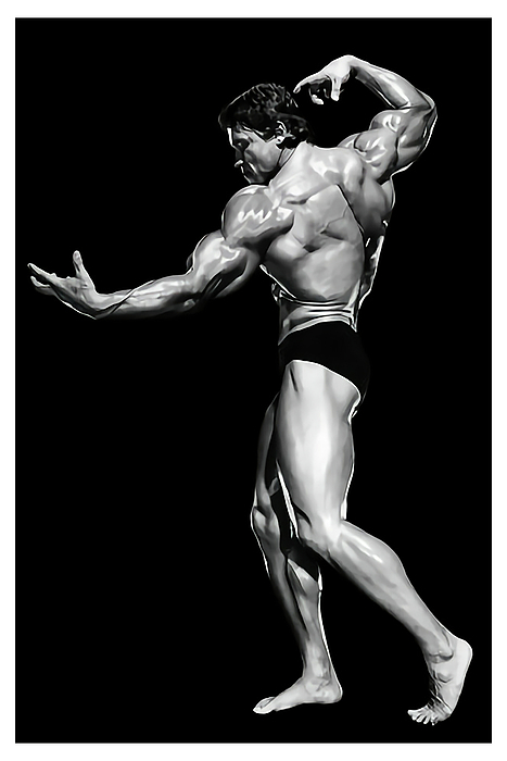 What is a photo of Arnold Schwarzenegger's signature bodybuilding pose? -  Quora