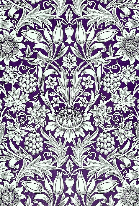 Purple Star Sticker by Tom Hill - Fine Art America