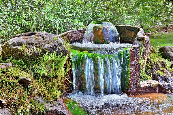 Lisa Wooten - Artesian Well And Waterfall Lee State Park South Carolina