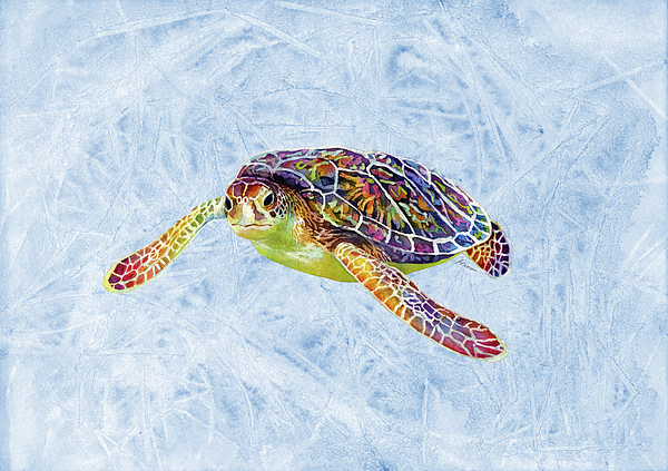 Sea turtle hand online towels