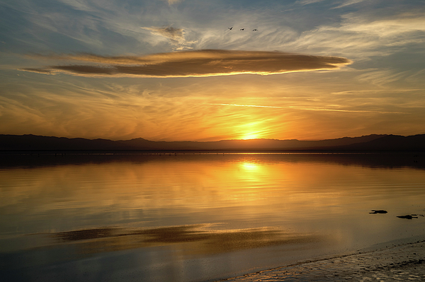Sunset Art