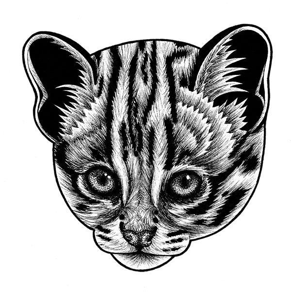 Asian leopard cat kitten - ink illustration T-Shirt