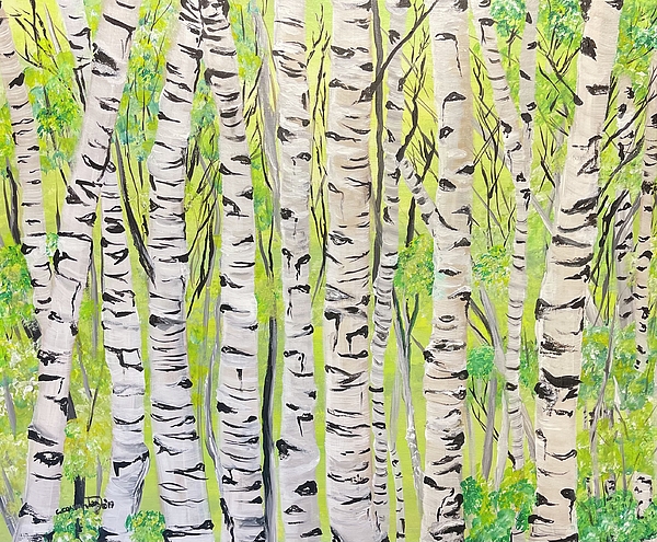 Colorado Art