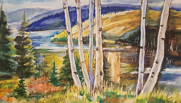 Alla Savinkov - Aspen Trees in Frisco, Colorado