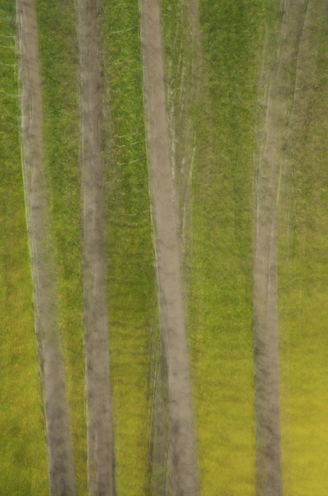Grand Teton National Park Art