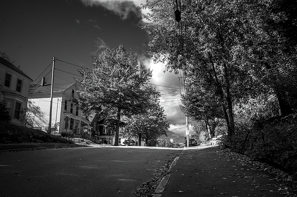 Bob Orsillo - Auburn Empty Tree Lined Street 24