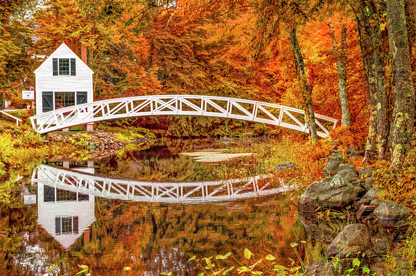 Kay Brewer - Autumn at the Somesville Bridge