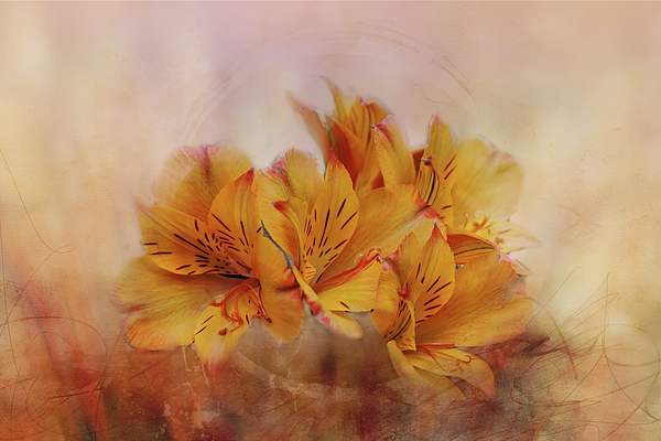 Terry Davis - Autumn Bouquet