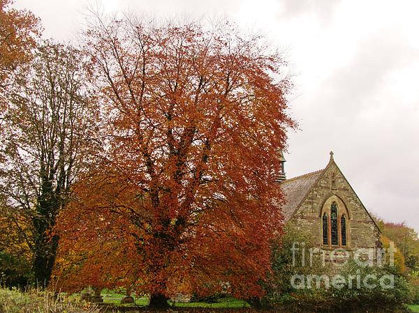 Lesley Evered - Autumn Colours In Avonwick, Devon UK