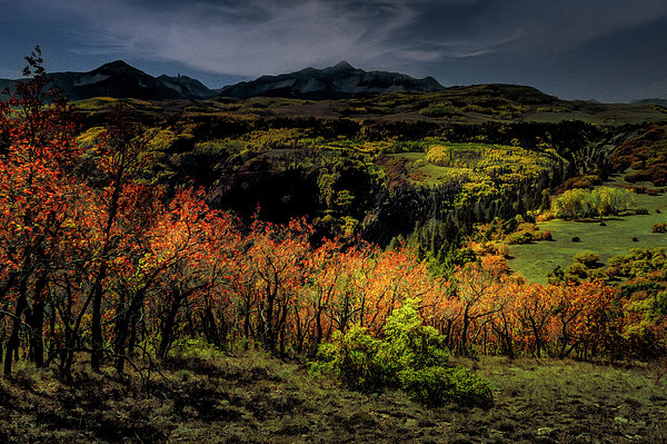 Norma Brandsberg - Autumn in Telluride