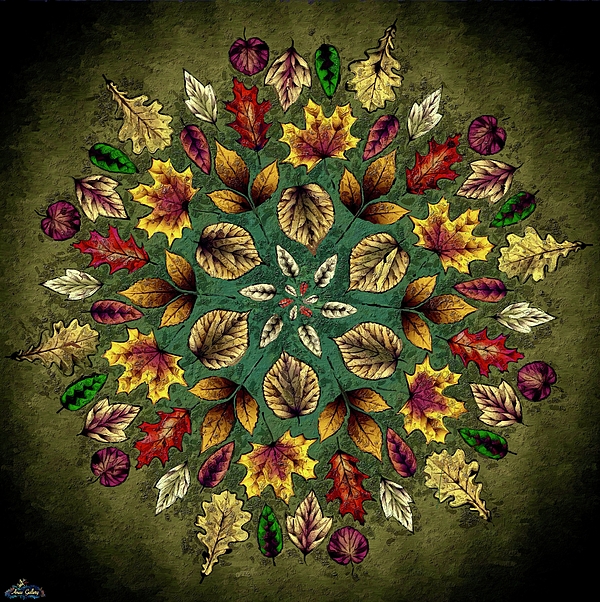 Anas Afash - Autumn Leaves Mandala 