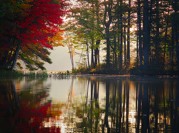 Scott Loring Davis - Autumn Mist, Lake Arrowhead, Maine