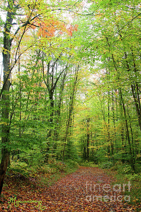 Mariarosa Rockefeller - Autumn Path in the Woods