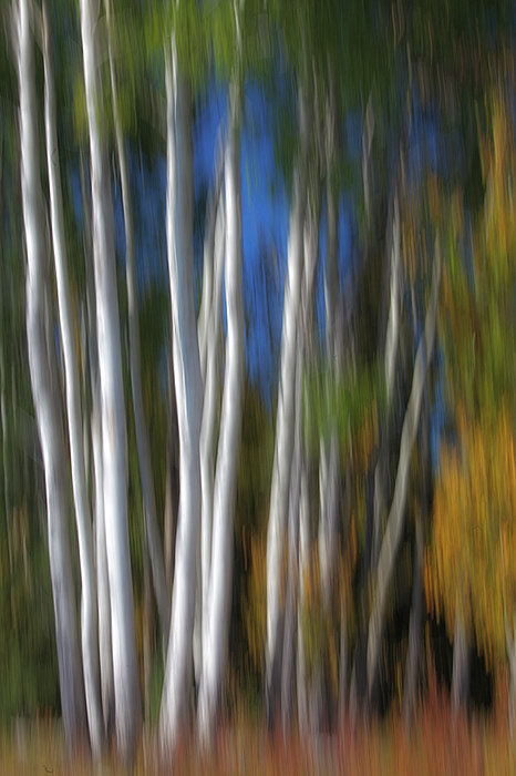 Fall Art