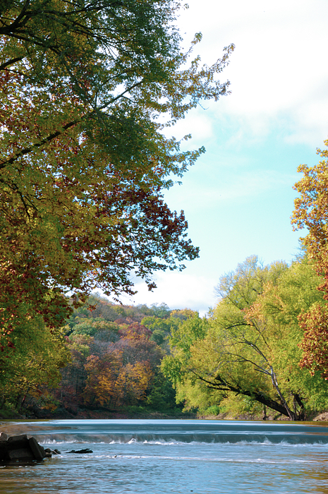 Autumn Splendor Yoga Mat