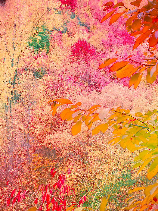 Karen Lindale - Autumn Tapestry