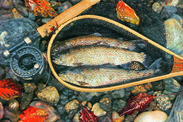 Vintage fly fishing equipment with large salmon on riverbed stones - Thomas  Baker