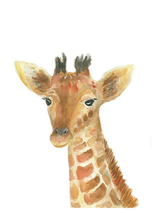 Baby Giraffe Print, Printable Safari Baby Animal Nursery Art, Giraffe Wall  Art Nursery, Baby Giraffe Duvet Cover by Watercolor Poetry - Pixels