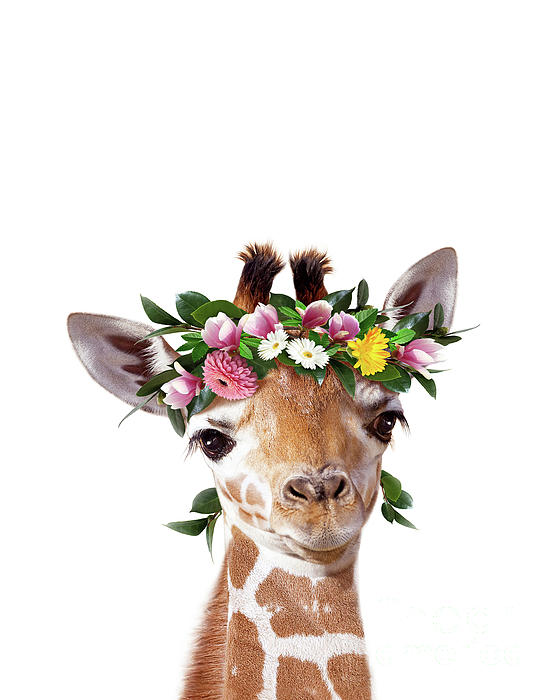 Baby Giraffe With Flower Crown, Baby Animals Art Print By Synplus Yoga Mat  by Synplus Art - Pixels