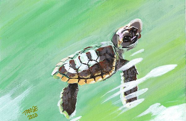 Baby Sea Turtle Sticker by Taphath Foose - Fine Art America