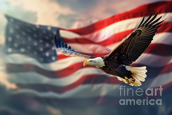 Delphimages Photo Creations - Bald eagle flying on US flag background