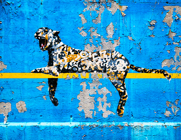 Banksy Zebra Poster by Banksy - Pixels Merch