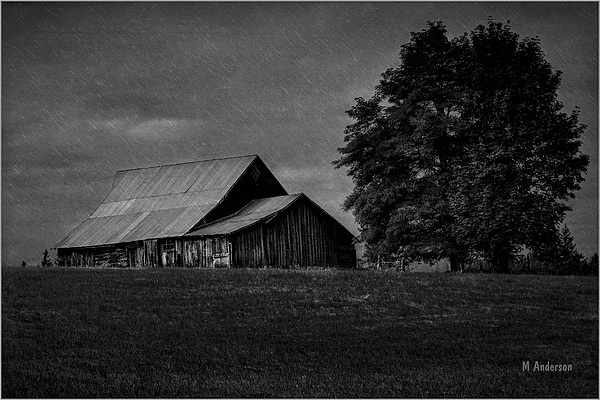 Michael R Anderson - Barnyard Showers in BW