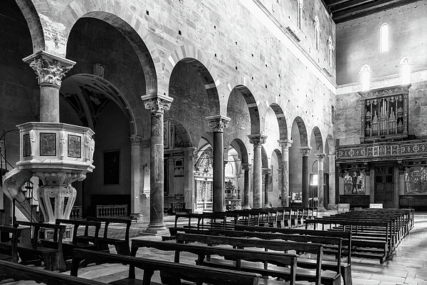 Joan Carroll - Basilica of San Frediano BW 2 Lucca Italy