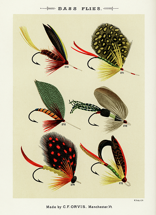 Bass Flies 5 - Vintage Fishing Flies Illustration Jigsaw Puzzle by