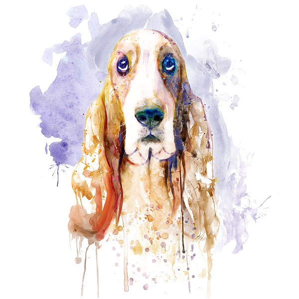 Marian Voicu - Basset Hound Dog Watercolor Portrait