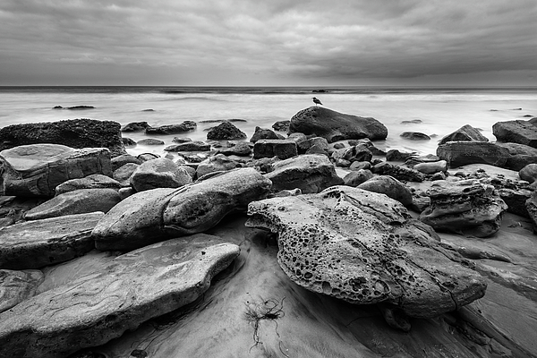 Monochrome Art