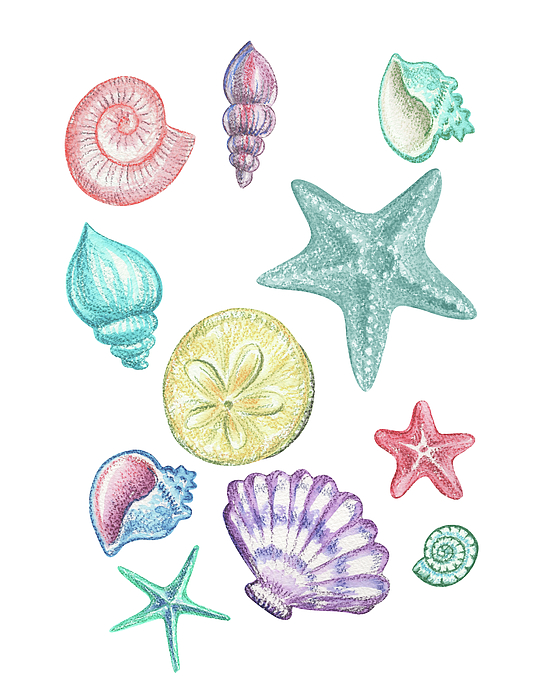 Irina Sztukowski - Beach Art Watercolor Sea Shells And Stars Art III