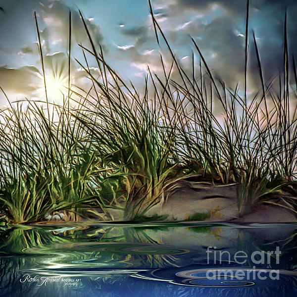 Robin Amaral - Beach Grass Waterscape Illustration