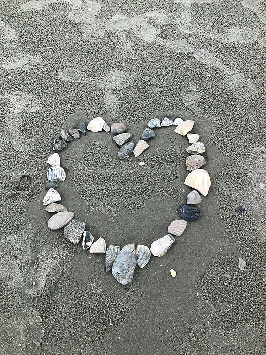 Beach Photographs