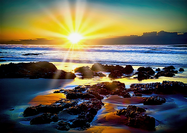 Peter Cole - Beach Sunrise
