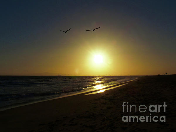 Connie Sloan - Beach Sunset