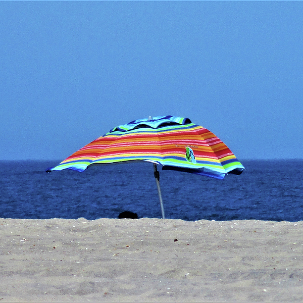 Daniel Baran - Beach Umbrella