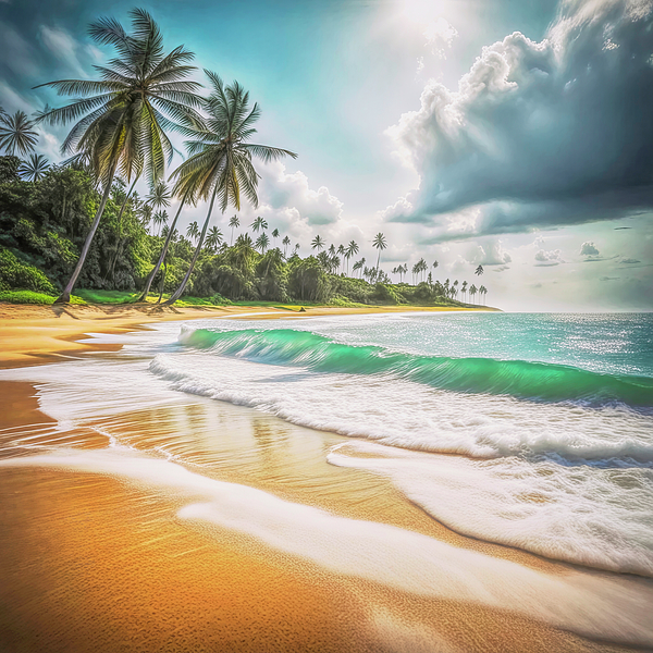 Donna Kennedy - Beaches of Sri Lanka