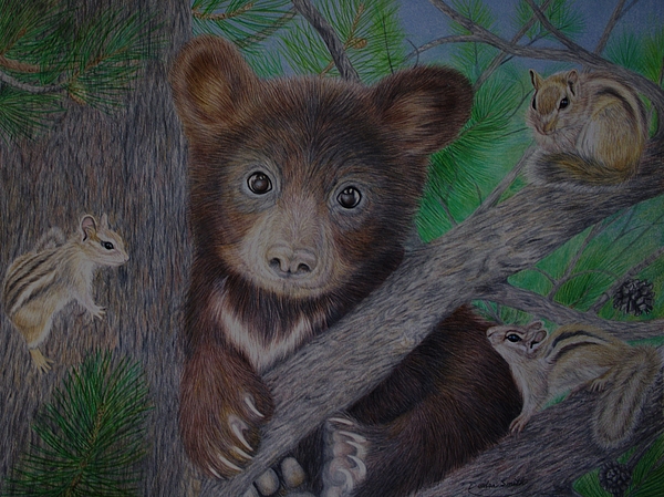 Deidra Smith - Bear Cub Delights Chipmunks High in Pine Tree 