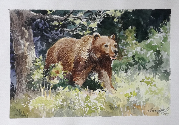 https://images.fineartamerica.com/images/artworkimages/medium/3/bear-max-likhoyda.jpg