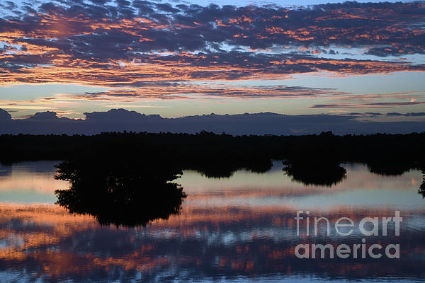 Brenda Harle - Beautiful Mangrove Sunrise