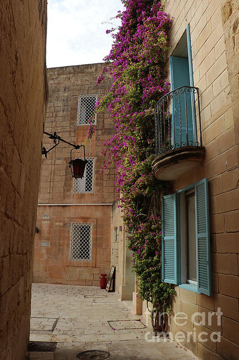 Christiane Schulze Art And Photography - Beautiful Medieval Mdina Alley