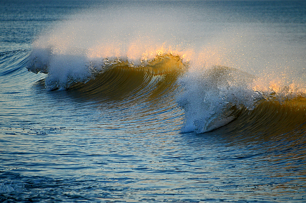 Dianne Cowen Cape Cod Photography - Beautiful Nauset Beach - Cape Cod