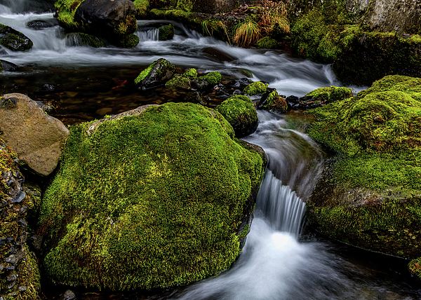 Waterfall Photographs