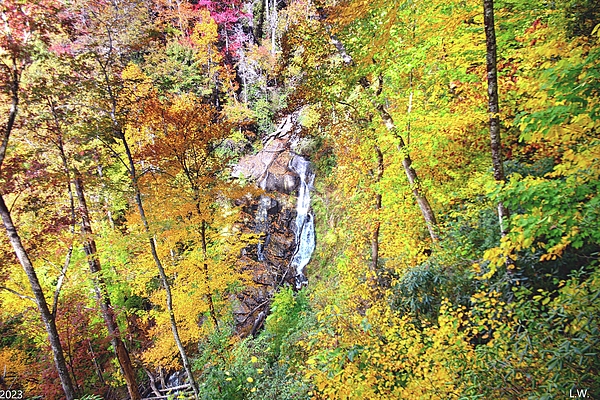 Lisa Wooten - Beechbottom Falls Pickens County South Carolina In Autumn