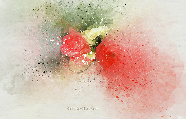 Peggy Cooper-Hendon - Begonia-6A