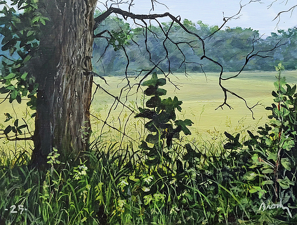 Serene Art